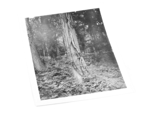 Darkroom